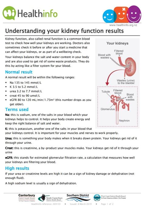 Routine Kidney Function Blood Test .